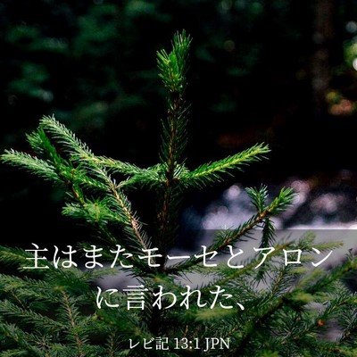 Picture 03 - レビ記 13:1 JPN - 主はまたモーセとアロンに言われた - Bible Verse Picture