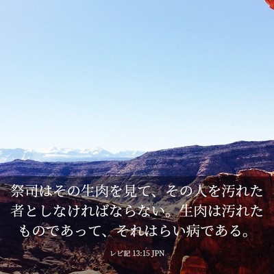 Picture 03 - レビ記 13:15 JPN - 祭司はその生肉を見て、その人を汚 - Bible Verse Picture