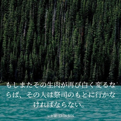 Picture 03 - レビ記 13:16 JPN - もしまたその生肉が再び白く変るな - Bible Verse Picture