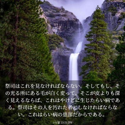 Picture 03 - レビ記 13:25 JPN - 祭司はこれを見なければならない。 - Bible Verse Picture
