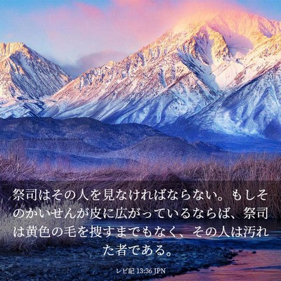 Picture 03 - レビ記 13:36 JPN - 祭司はその人を見なければならない - Bible Verse Picture