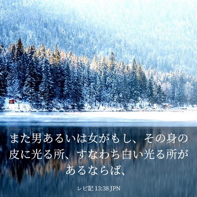 Picture 03 - レビ記 13:38 JPN - また男あるいは女がもし、その身の - Bible Verse Picture
