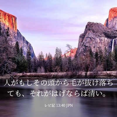 Picture 03 - レビ記 13:40 JPN - 人がもしその頭から毛が抜け落ちて - Bible Verse Picture