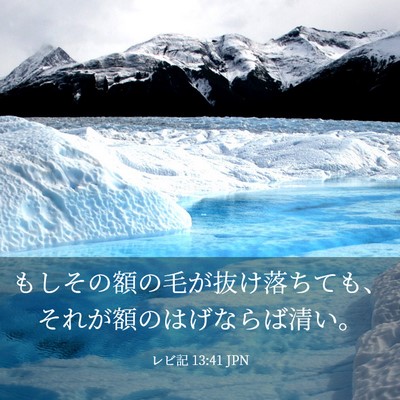Picture 03 - レビ記 13:41 JPN - もしその額の毛が抜け落ちても、そ - Bible Verse Picture