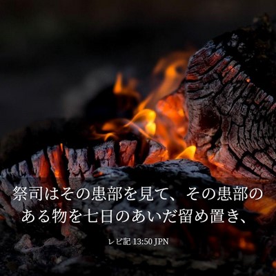 Picture 03 - レビ記 13:50 JPN - 祭司はその患部を見て、その患部の - Bible Verse Picture