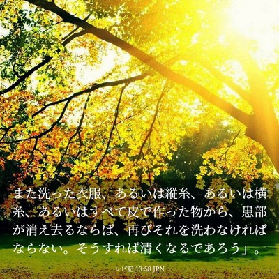 Picture 03 - レビ記 13:58 JPN - また洗った衣服、あるいは縦糸、あ - Bible Verse Picture