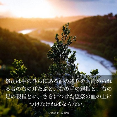 Picture 03 - レビ記 14:17 JPN - 祭司は手のひらにある油の残りを、 - Bible Verse Picture