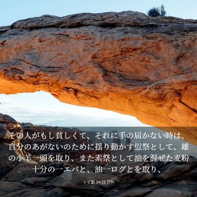 Picture 03 - レビ記 14:21 JPN - その人がもし貧しくて、それに手の - Bible Verse Picture