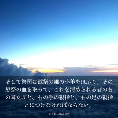 Picture 03 - レビ記 14:25 JPN - そして祭司は愆祭の雄の小羊をほふ - Bible Verse Picture