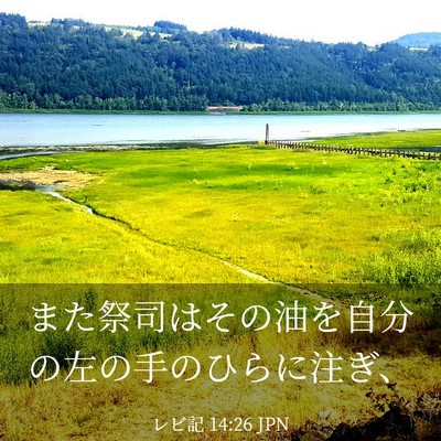 Picture 03 - レビ記 14:26 JPN - また祭司はその油を自分の左の手の - Bible Verse Picture