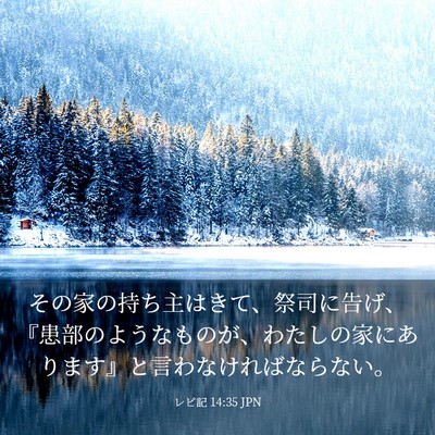 Picture 03 - レビ記 14:35 JPN - その家の持ち主はきて、祭司に告げ - Bible Verse Picture