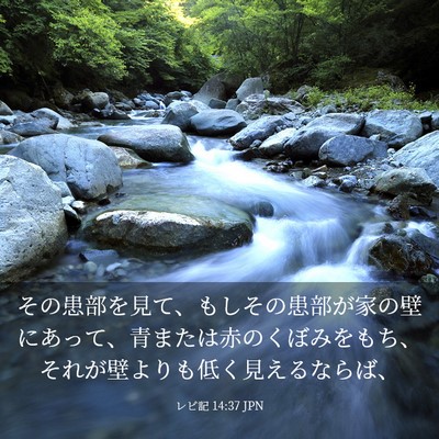 Picture 03 - レビ記 14:37 JPN - その患部を見て、もしその患部が家 - Bible Verse Picture