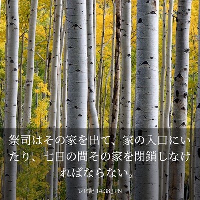 Picture 03 - レビ記 14:38 JPN - 祭司はその家を出て、家の入口にい - Bible Verse Picture