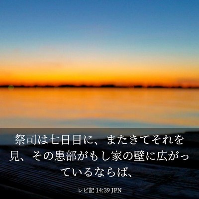 Picture 03 - レビ記 14:39 JPN - 祭司は七日目に、またきてそれを見 - Bible Verse Picture