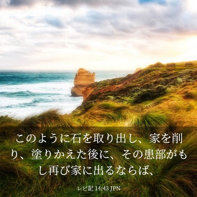 Picture 03 - レビ記 14:43 JPN - このように石を取り出し、家を削り - Bible Verse Picture