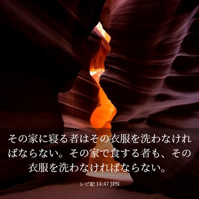 Picture 03 - レビ記 14:47 JPN - その家に寝る者はその衣服を洗わな - Bible Verse Picture