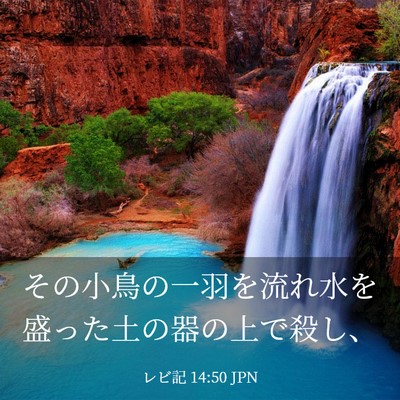 Picture 03 - レビ記 14:50 JPN - その小鳥の一羽を流れ水を盛った土 - Bible Verse Picture