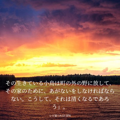 Picture 03 - レビ記 14:53 JPN - その生きている小鳥は町の外の野に - Bible Verse Picture