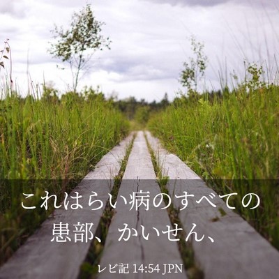 Picture 03 - レビ記 14:54 JPN - これはらい病のすべての患部、かい - Bible Verse Picture