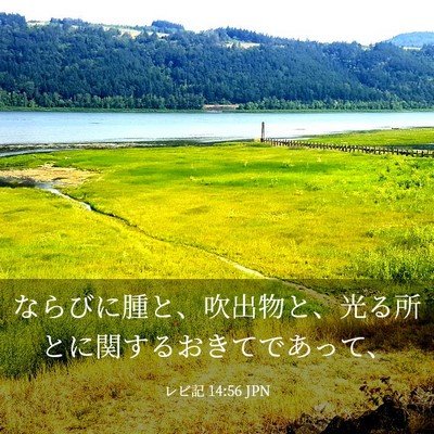 Picture 03 - レビ記 14:56 JPN - ならびに腫と、吹出物と、光る所と - Bible Verse Picture