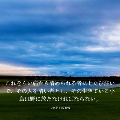 Picture 03 - レビ記 14:7 JPN - これをらい病から清められる者に七 - Bible Verse Picture