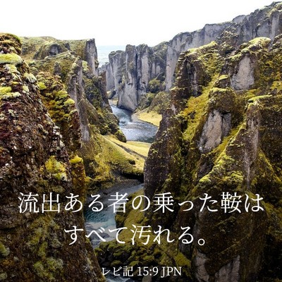 Picture 03 - レビ記 15:9 JPN - 流出ある者の乗った鞍はすべて汚れ - Bible Verse Picture
