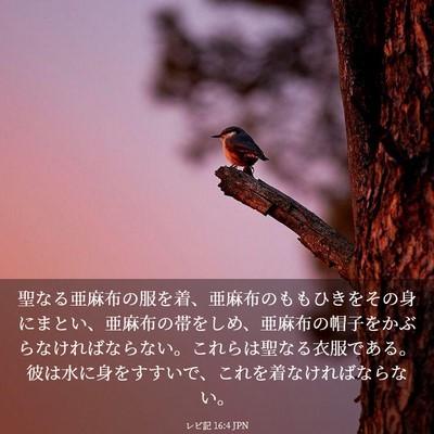 Picture 03 - レビ記 16:4 JPN - 聖なる亜麻布の服を着、亜麻布のも - Bible Verse Picture