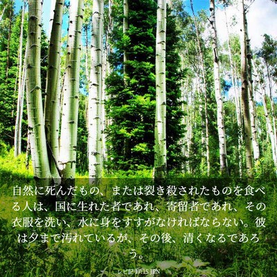 Picture 03 - レビ記 17:15 JPN - 自然に死んだもの、または裂き殺さ - Bible Verse Picture