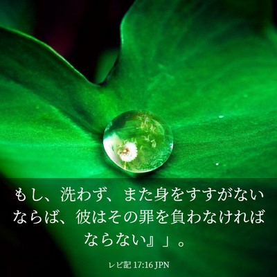 Picture 03 - レビ記 17:16 JPN - もし、洗わず、また身をすすがない - Bible Verse Picture