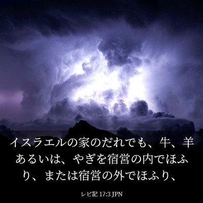 Picture 03 - レビ記 17:3 JPN - イスラエルの家のだれでも、牛、羊 - Bible Verse Picture