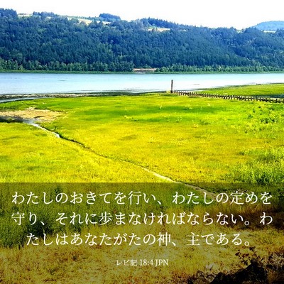Picture 03 - レビ記 18:4 JPN - わたしのおきてを行い、わたしの定 - Bible Verse Picture