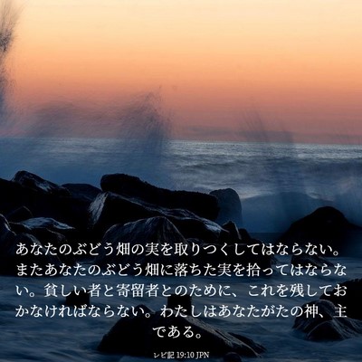Picture 03 - レビ記 19:10 JPN - あなたのぶどう畑の実を取りつくし - Bible Verse Picture