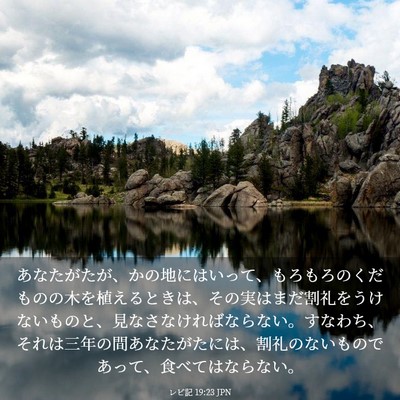 Picture 03 - レビ記 19:23 JPN - あなたがたが、かの地にはいって、 - Bible Verse Picture