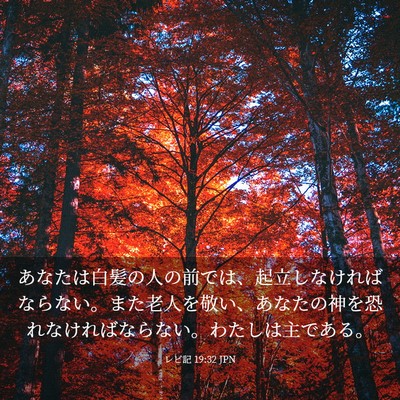 Picture 03 - レビ記 19:32 JPN - あなたは白髪の人の前では、起立し - Bible Verse Picture