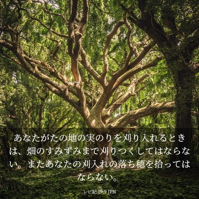 Picture 03 - レビ記 19:9 JPN - あなたがたの地の実のりを刈り入れ - Bible Verse Picture