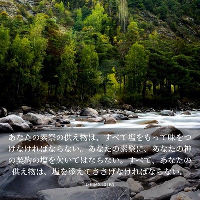 Picture 03 - レビ記 2:13 JPN - あなたの素祭の供え物は、すべて塩 - Bible Verse Picture