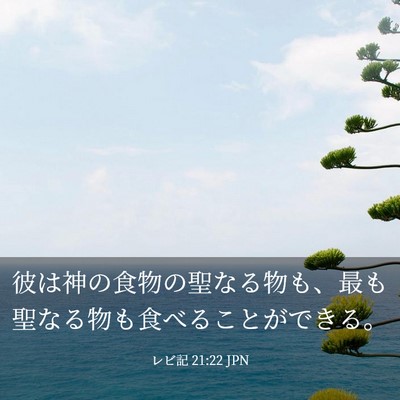 Picture 03 - レビ記 21:22 JPN - 彼は神の食物の聖なる物も、最も聖 - Bible Verse Picture