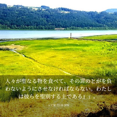 Picture 03 - レビ記 22:16 JPN - 人々が聖なる物を食べて、その罪の - Bible Verse Picture