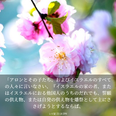 Picture 03 - レビ記 22:18 JPN - 「アロンとその子たち、およびイス - Bible Verse Picture