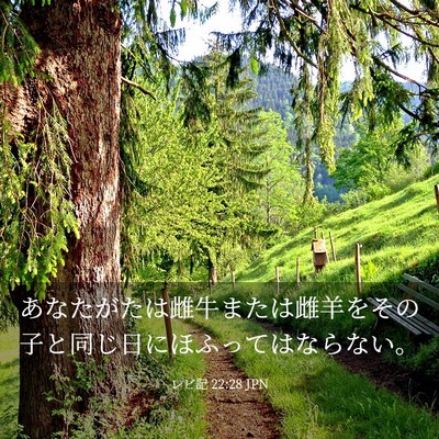 Picture 03 - レビ記 22:28 JPN - あなたがたは雌牛または雌羊をその - Bible Verse Picture