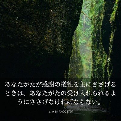 Picture 03 - レビ記 22:29 JPN - あなたがたが感謝の犠牲を主にささ - Bible Verse Picture