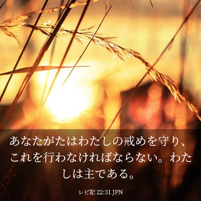 Picture 03 - レビ記 22:31 JPN - あなたがたはわたしの戒めを守り、 - Bible Verse Picture