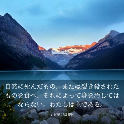 Picture 03 - レビ記 22:8 JPN - 自然に死んだもの、または裂き殺さ - Bible Verse Picture