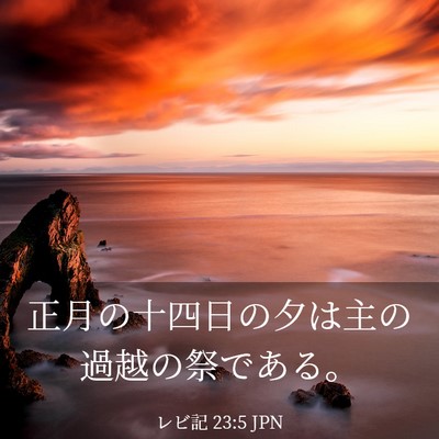 Picture 03 - レビ記 23:5 JPN - 正月の十四日の夕は主の過越の祭で - Bible Verse Picture