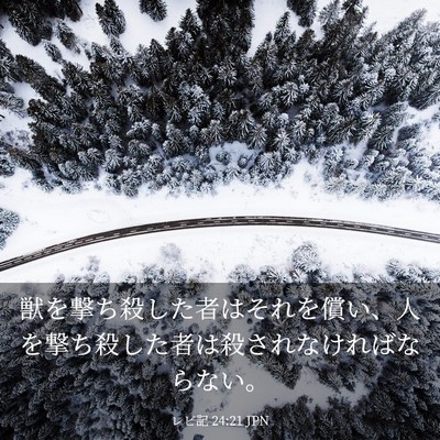 Picture 03 - レビ記 24:21 JPN - 獣を撃ち殺した者はそれを償い、人 - Bible Verse Picture