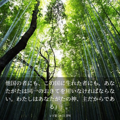 Picture 03 - レビ記 24:22 JPN - 他国の者にも、この国に生れた者に - Bible Verse Picture