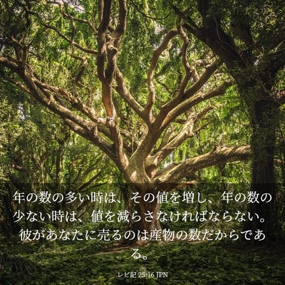 Picture 03 - レビ記 25:16 JPN - 年の数の多い時は、その値を増し、 - Bible Verse Picture