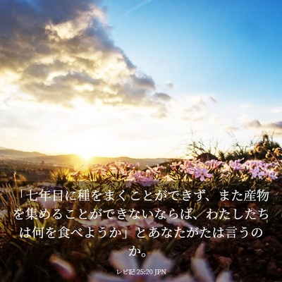 Picture 03 - レビ記 25:20 JPN - 「七年目に種をまくことができず、 - Bible Verse Picture