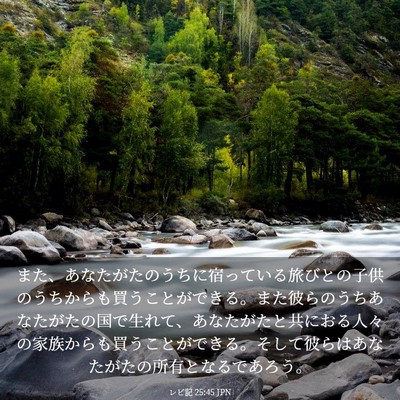 Picture 03 - レビ記 25:45 JPN - また、あなたがたのうちに宿ってい - Bible Verse Picture