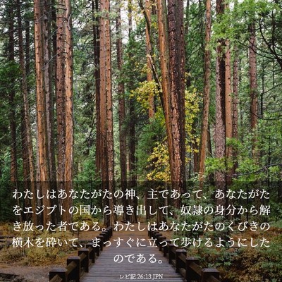 Picture 03 - レビ記 26:13 JPN - わたしはあなたがたの神、主であっ - Bible Verse Picture